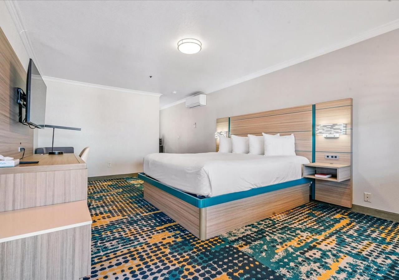 King Room Ocean View,1586114123:JPEG