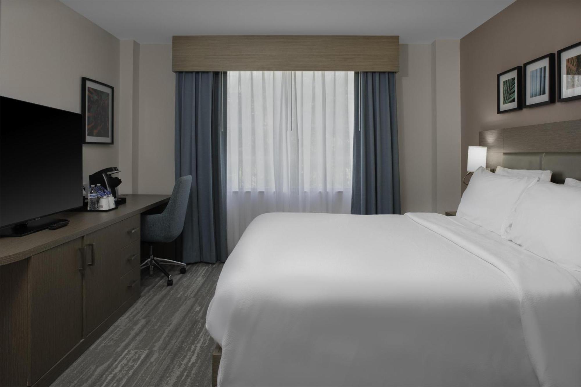 King Room Roll Shower Mobility or Hearing Accessible,1742904553:JPEG