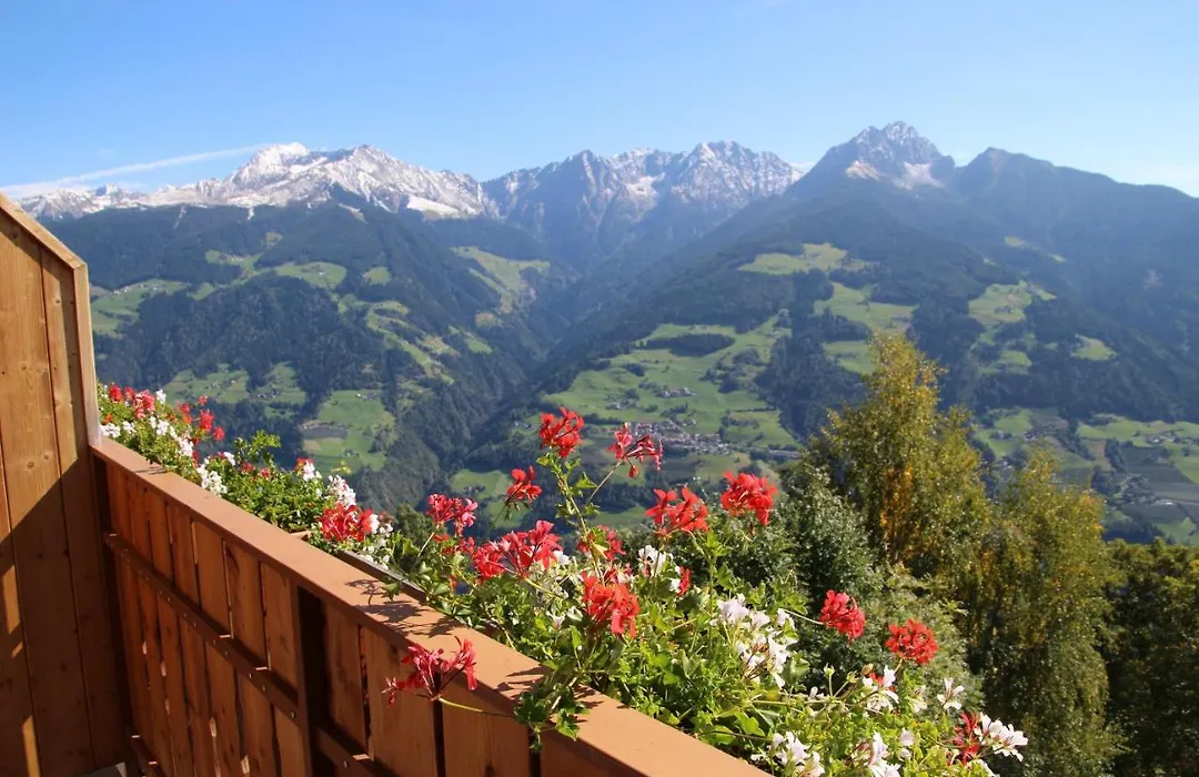 Gasthof Walde-1