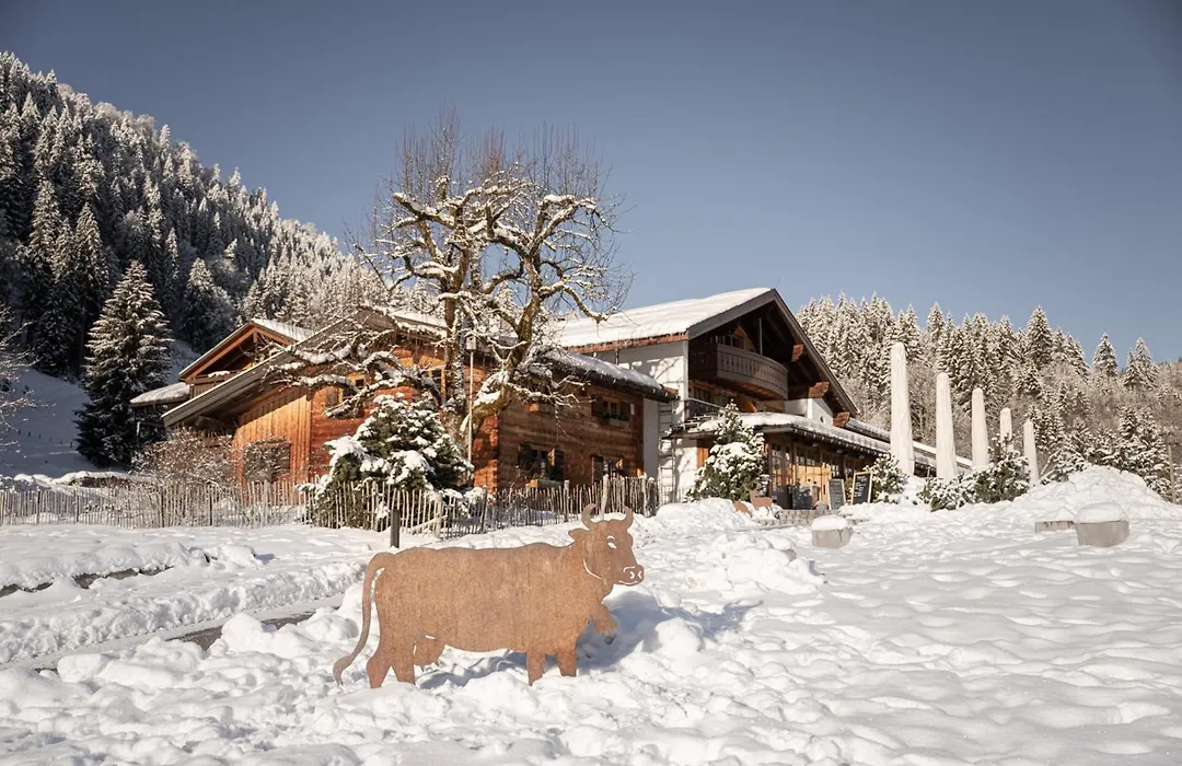 Alpe Dornach-1