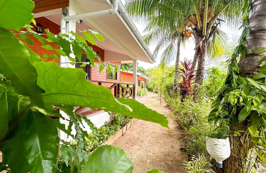 Anse Grosse Roche Beach Villa-1
