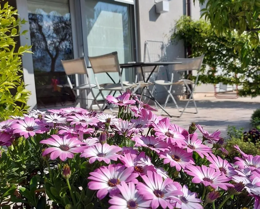 Villa Treccani Apartments-1
