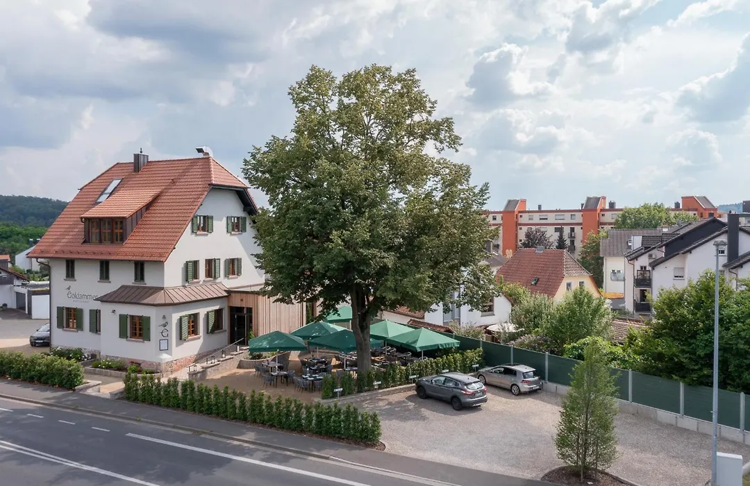 Goldammer Aschaffenburg-1