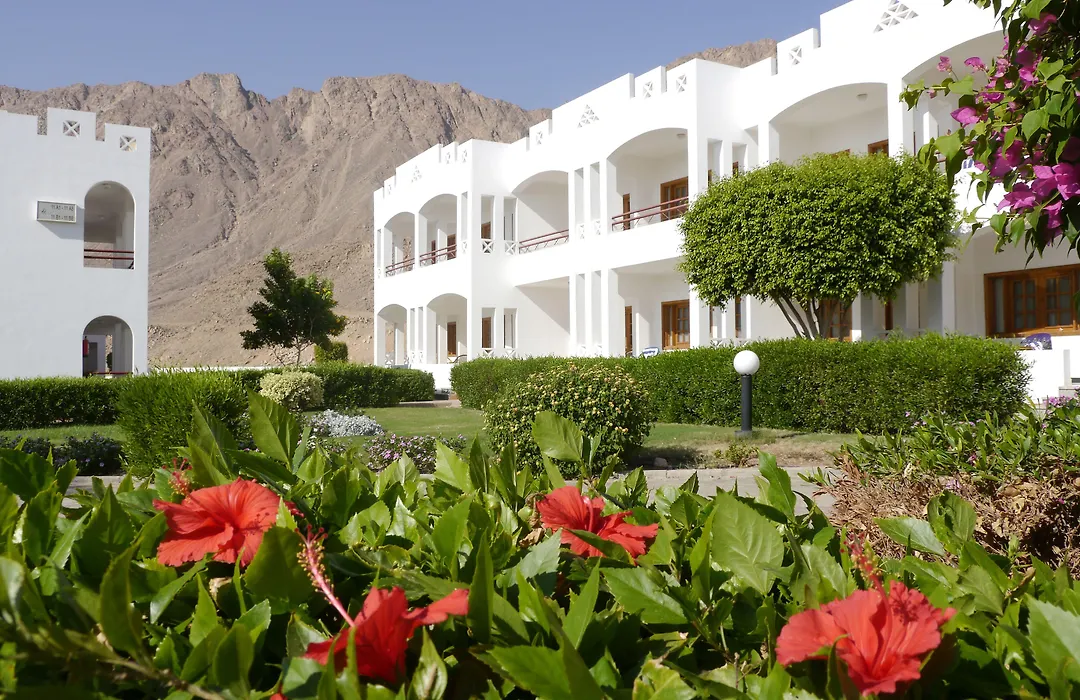 Happy Life Village Dahab-1