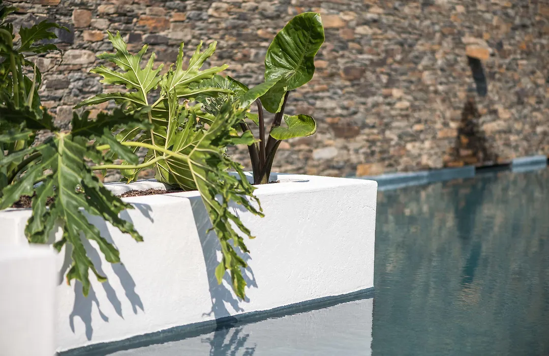 Boutique Hotel Villa Gala By Fimedhotels-1