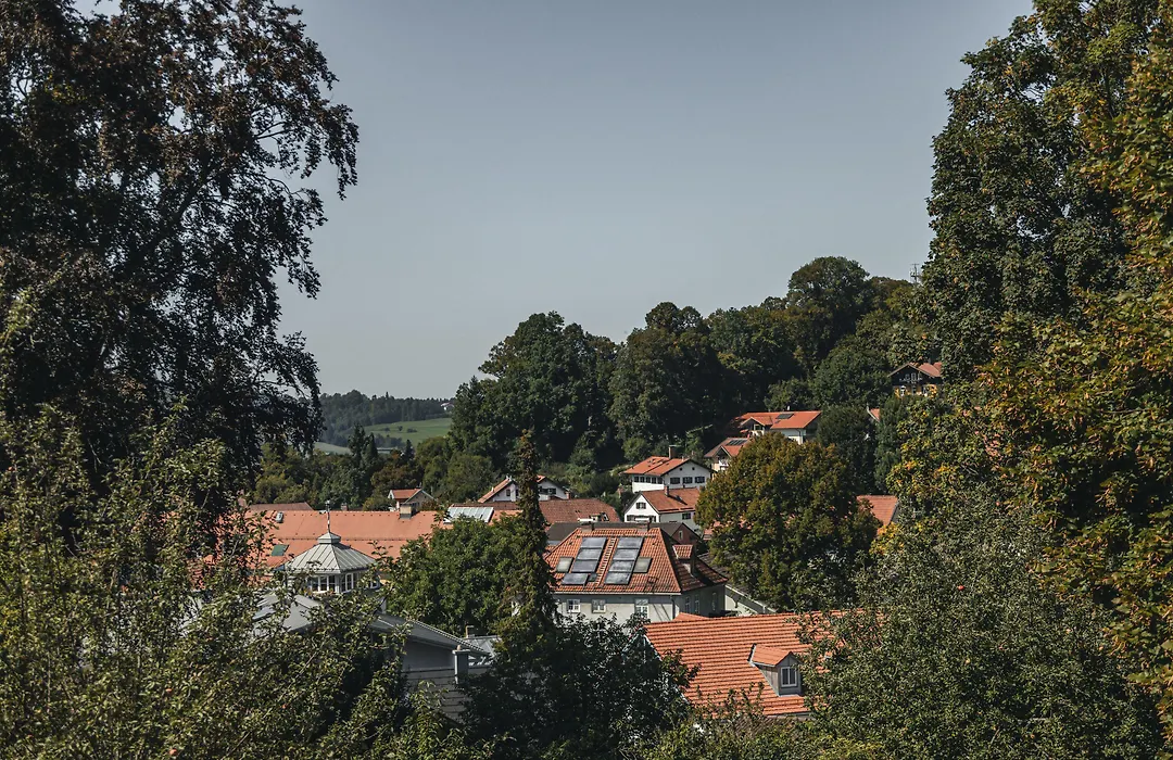 Suiten Zantl-1