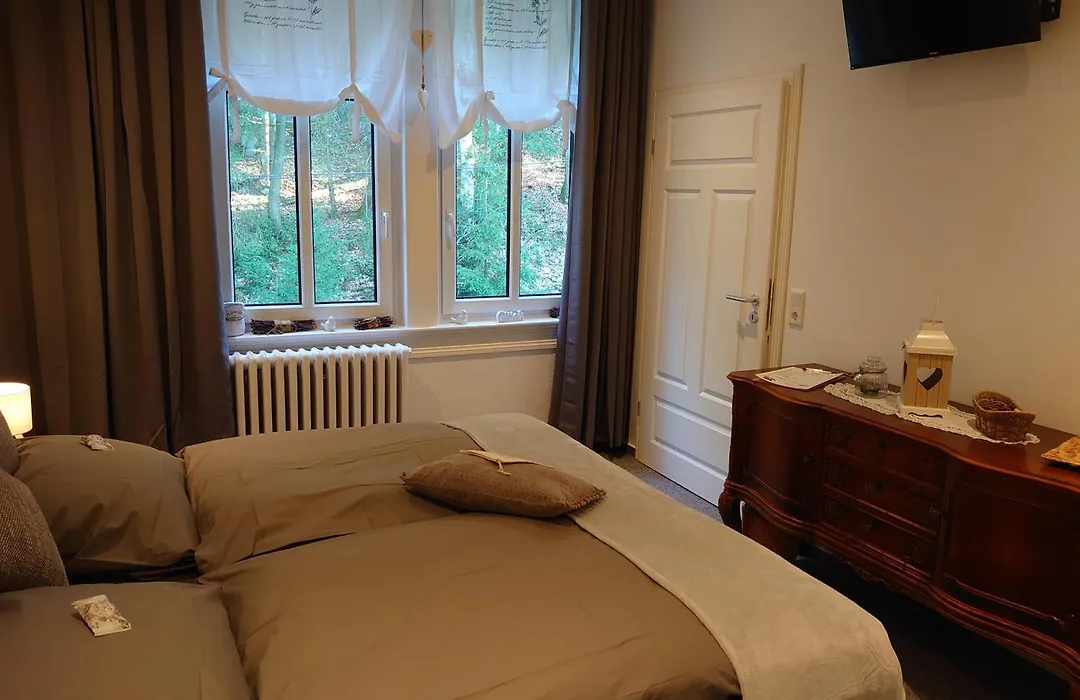 Pension Waldschlösschen-1