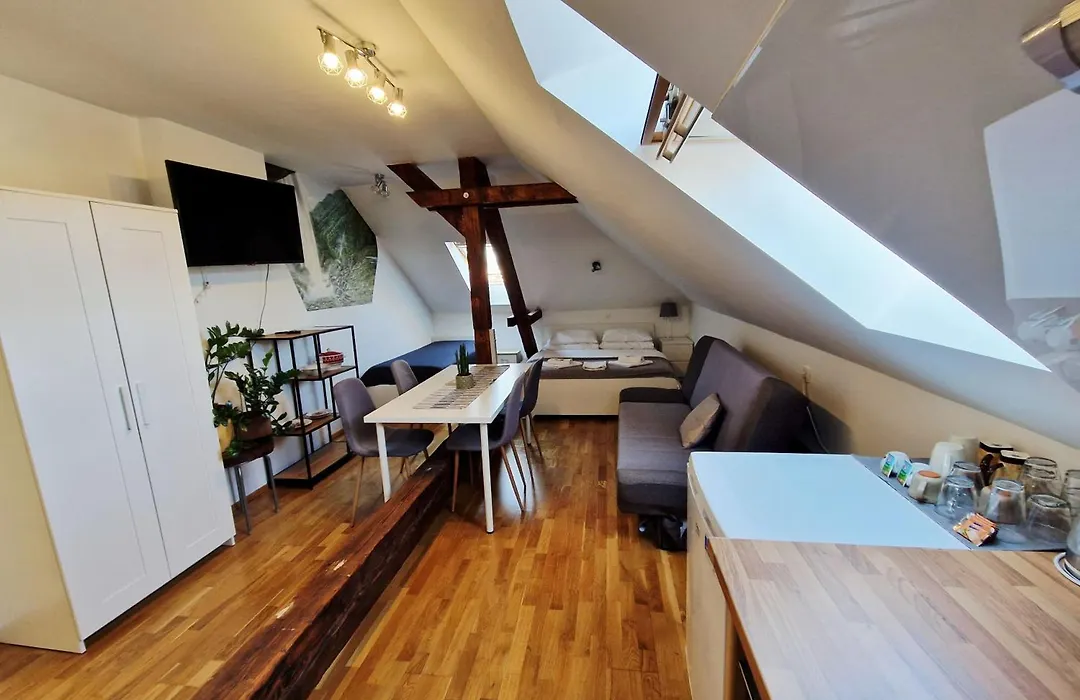 B&B Vila Teslova-1