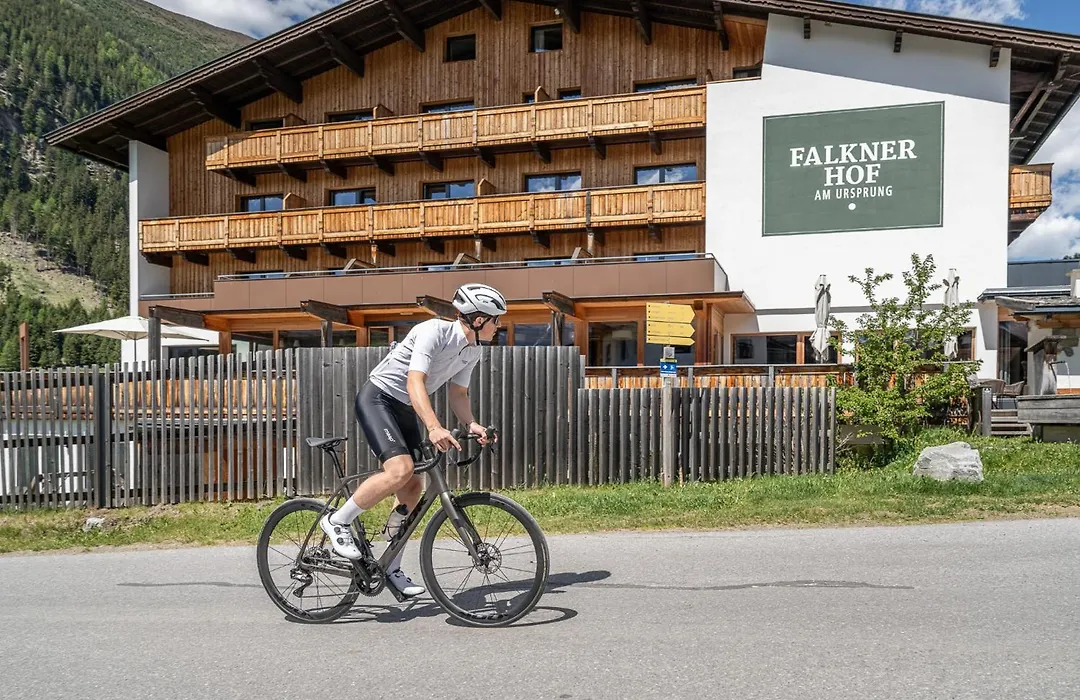 Hotel Falknerhof-1