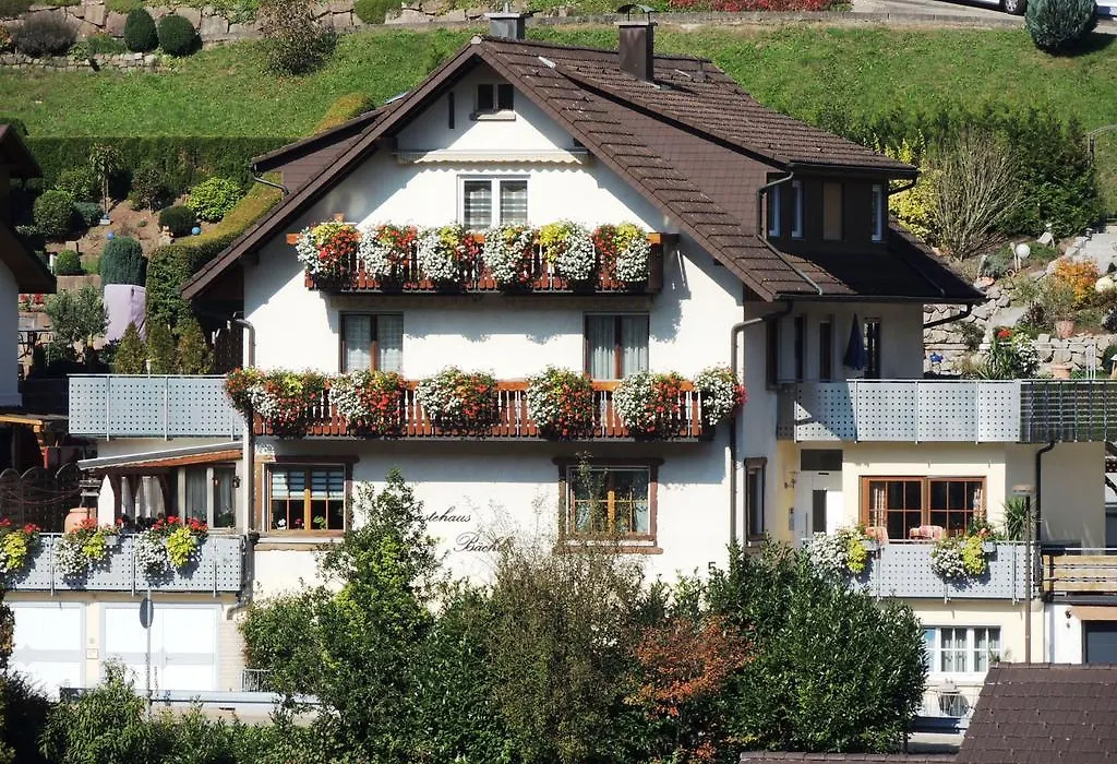 Gästehaus und Ferienwohnung Bächle-1