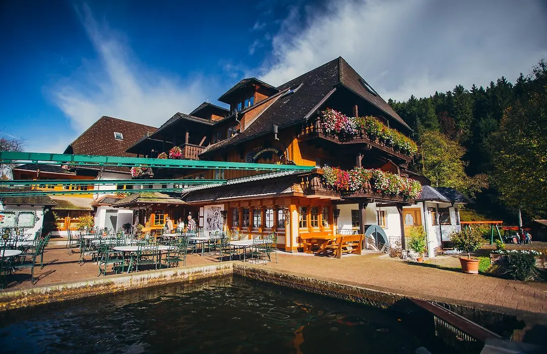 Hotel Tannenmühle-1