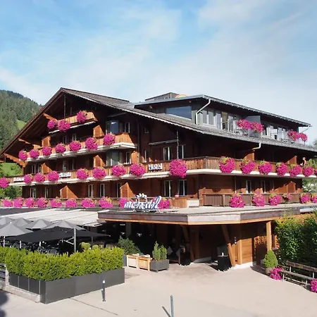 Hotel Arc-En-Ciel Gstaad-3