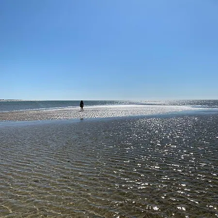 Letj Briis-3