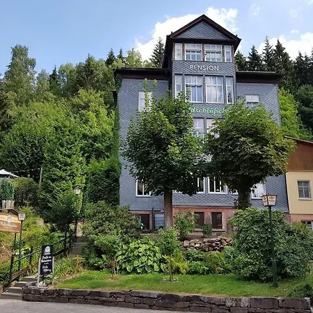 Pension Waldschlösschen-3