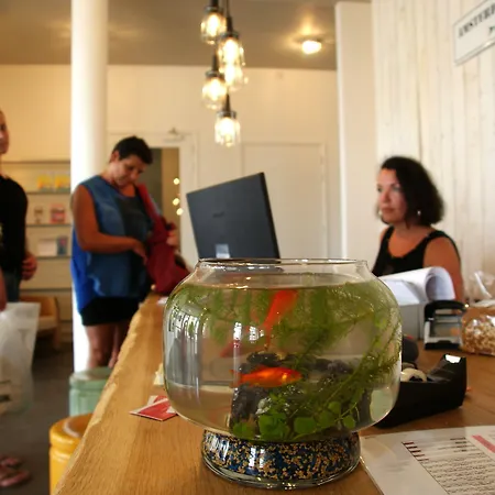 Amsterdam Beach Hotel-2