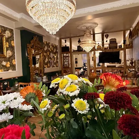 Antique Hotel Am Bahndamm-3