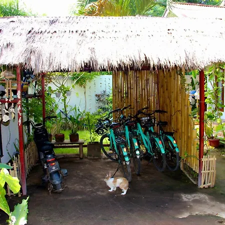 Follow The Rabbit Bungalow-3