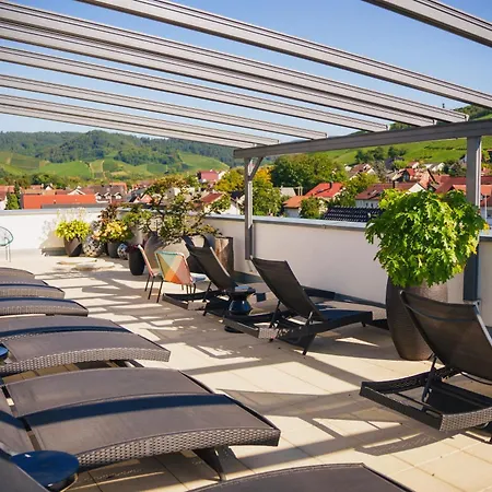 Hotel Ritter Durbach-3