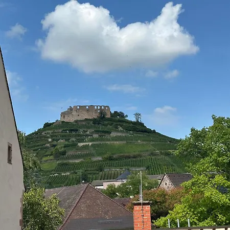 Gasthaus Zum Hirschen-3