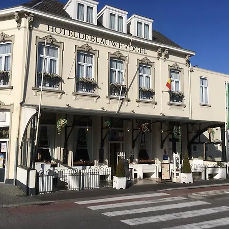 Hotel De Blauwe Vogel-3