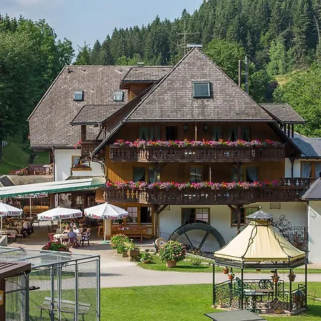 Hotel Tannenmühle-3