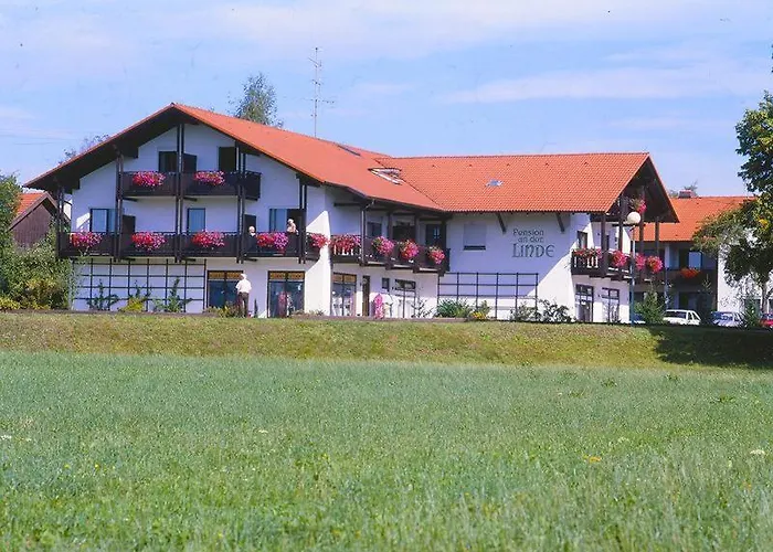 Der Linde