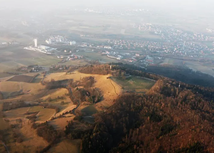  Einkorn