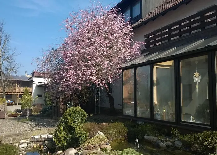 Haustierfreundliches Hotel: Adolphs Frühstückspension