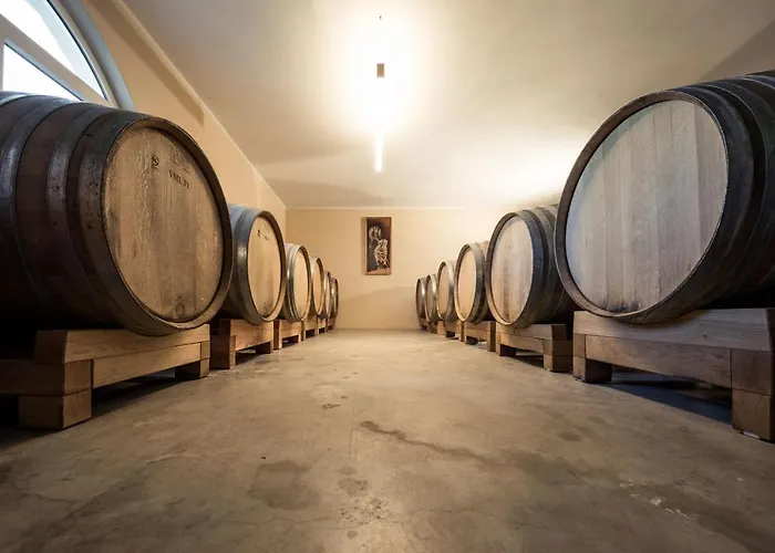 Weingut Donà