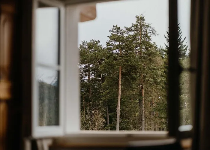  Waldhotel
