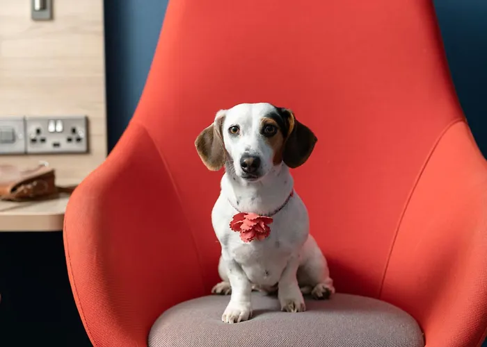 Haustierfreundliches Hotel: Holiday Inn Express & Suites - Deventer By Ihg