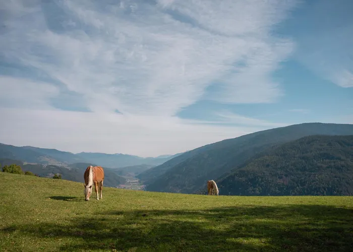 Panoramahotel Huberhof
