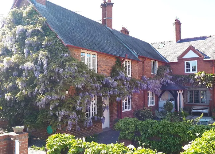 4 Sterne Hotels Cotton Farm