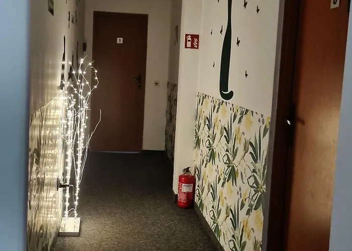Green Cat Rooms