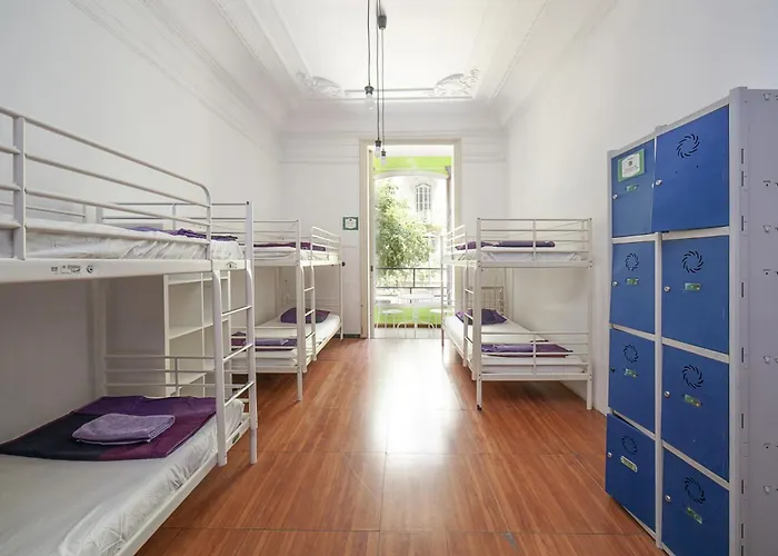 Hotel nahe College: Fabrizzios Terrace Hostel