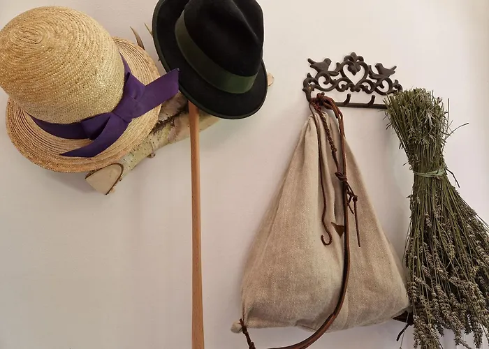 Hotel: Pension Alpenhof