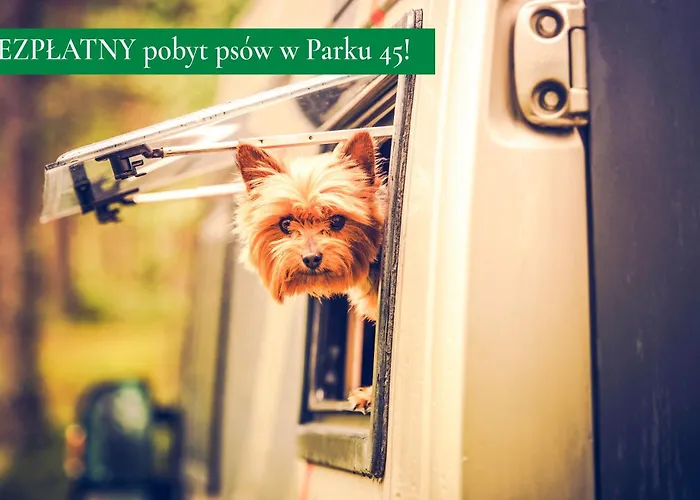 Haustierfreundliches Hotel: Park45