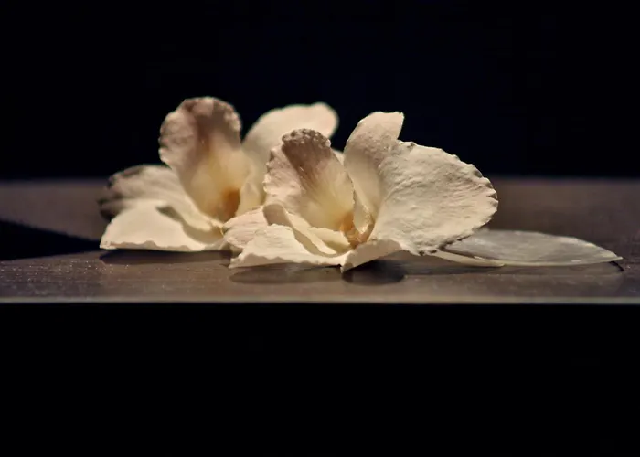 3-Sterne-Hotel: Hotel Waldecker Hof