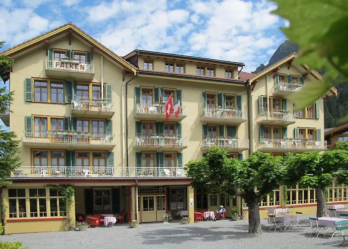 Hotel Am Historic Falken