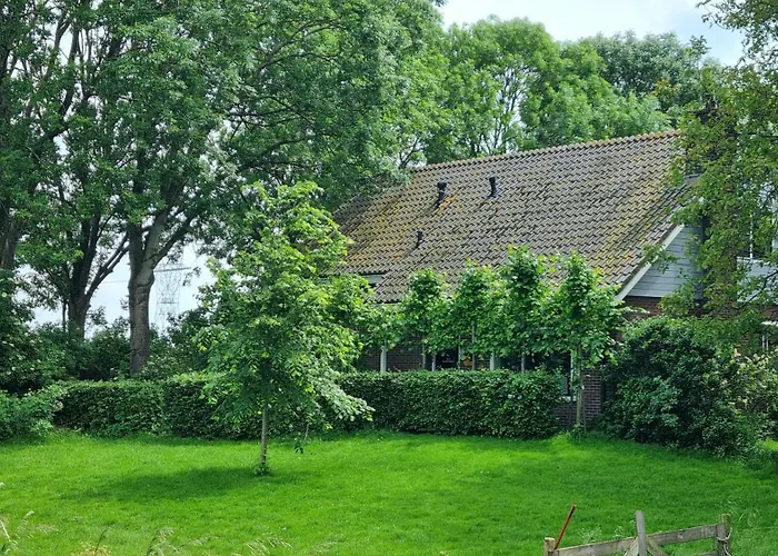 City Farmer Amsterdam A Guesthouse With Bikes , Bed & Breakfast And Free Parking