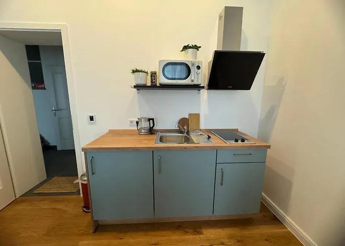 Gästehaus: Boutique Hotel Pension Luisengrün Küche 1Gbs WLAN Netflix Disney MagentaTV