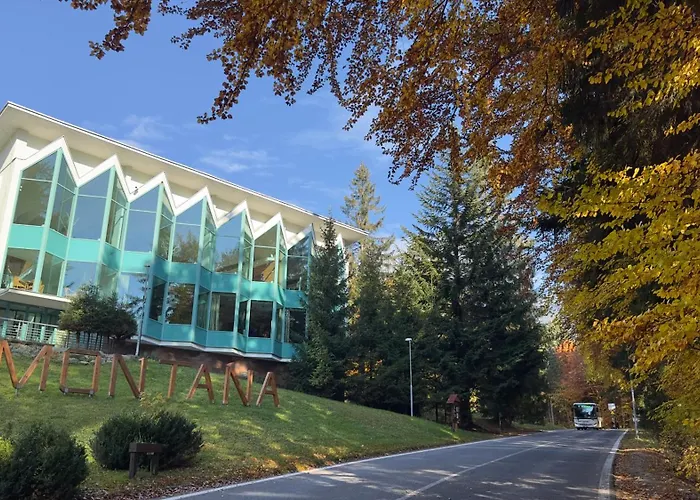 Haustierfreundliches Hotel: Horsky Hotel Montana