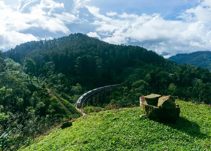 Hotel: Hobbit Hole Hideaway
