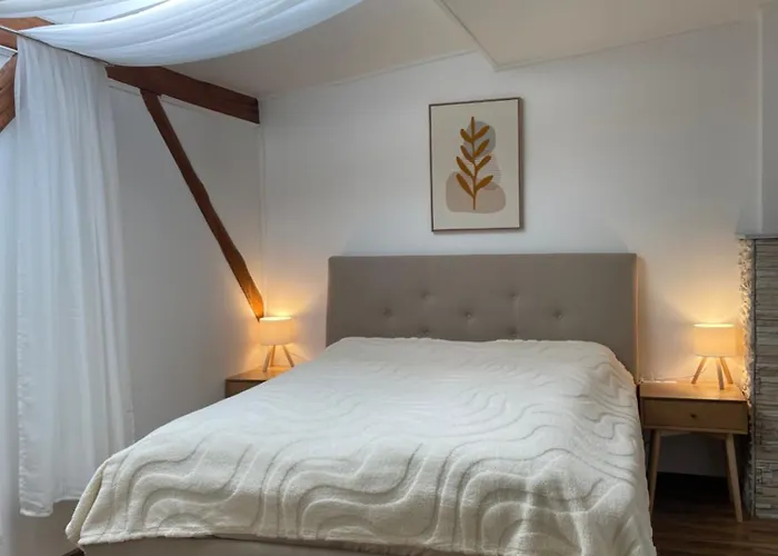 Apartment: Orchideen Apartment