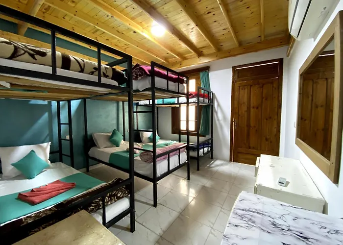 3-Sterne-Hotel: Octopus Hotel