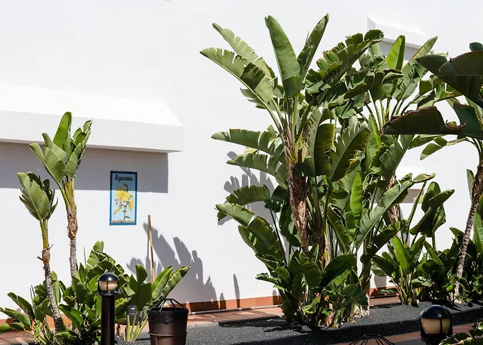 Ferienvermietung: Plus Fariones Apartamentos