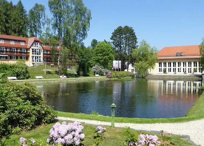 Zentrales Hotel: Parkhotel Bad Brambach