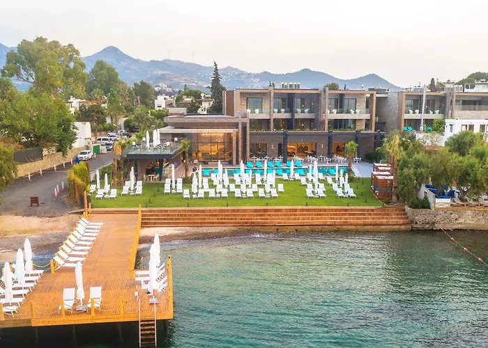  Arts Bodrum