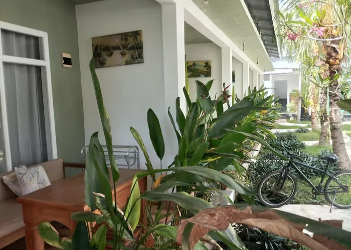Palm Trees Villas