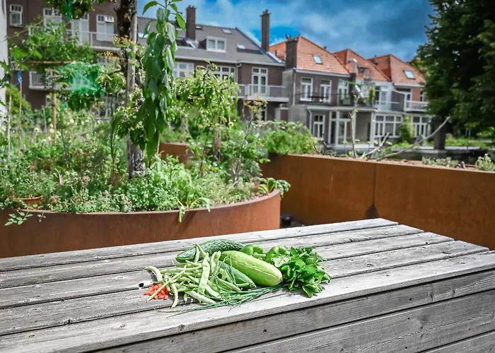 3-Sterne-Hotel: Court Garden Hotel